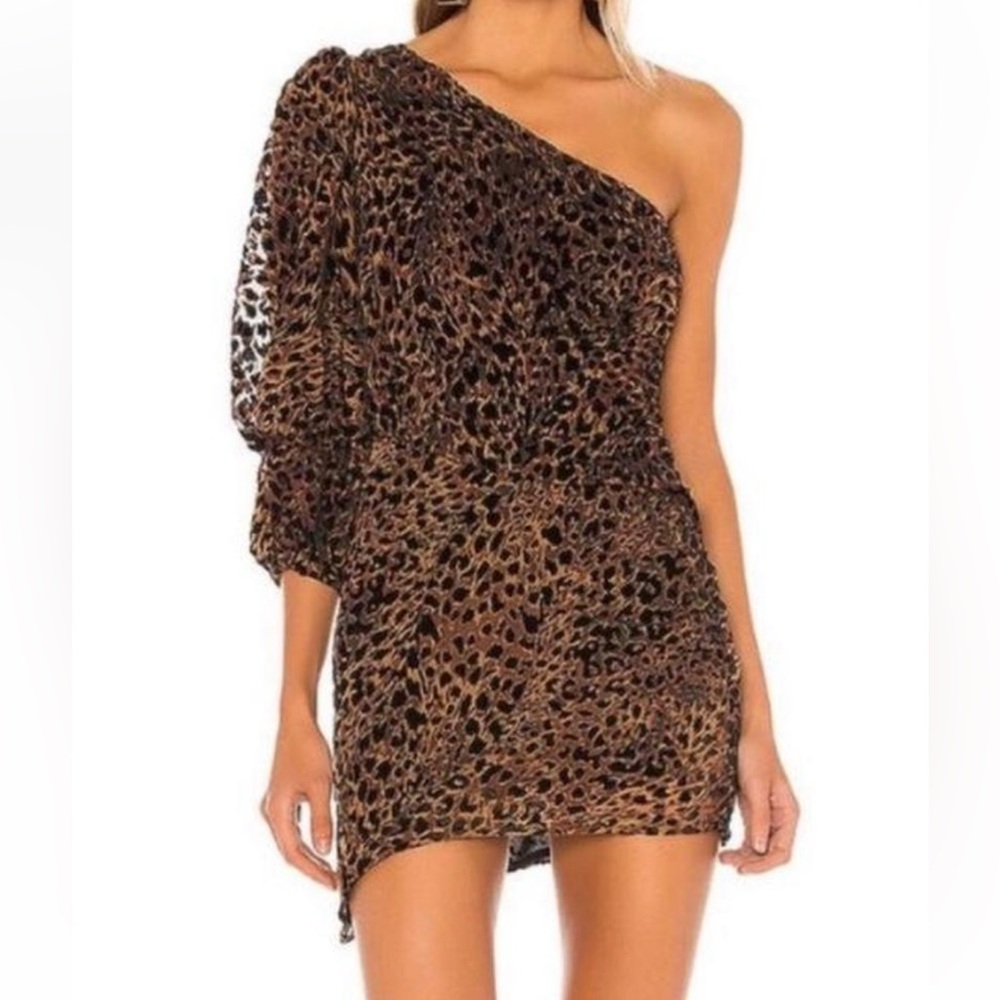 NWT Camila Coelho Brown Leopard animal print
Mini Dress size XXS